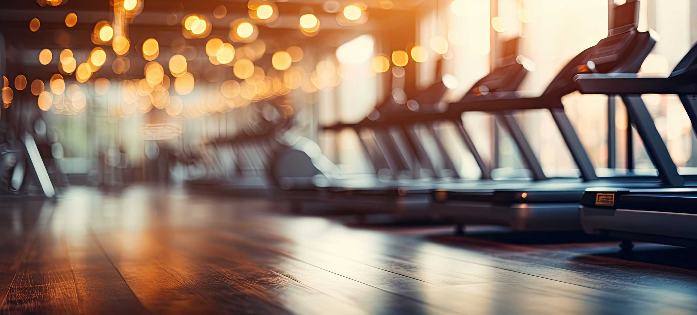 Gym equipment