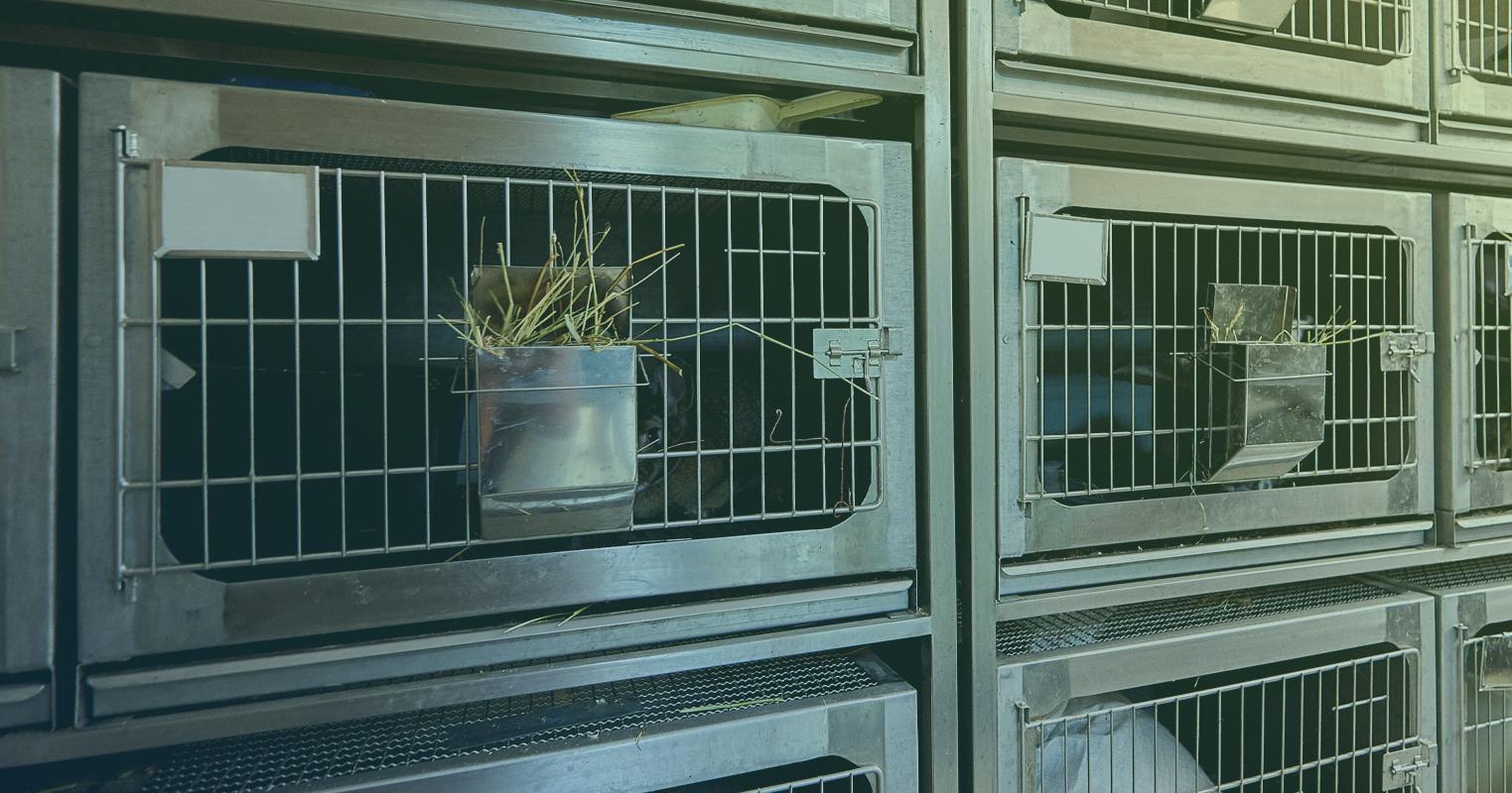 Paula’s Choice Cruelty Free Hagens Berman